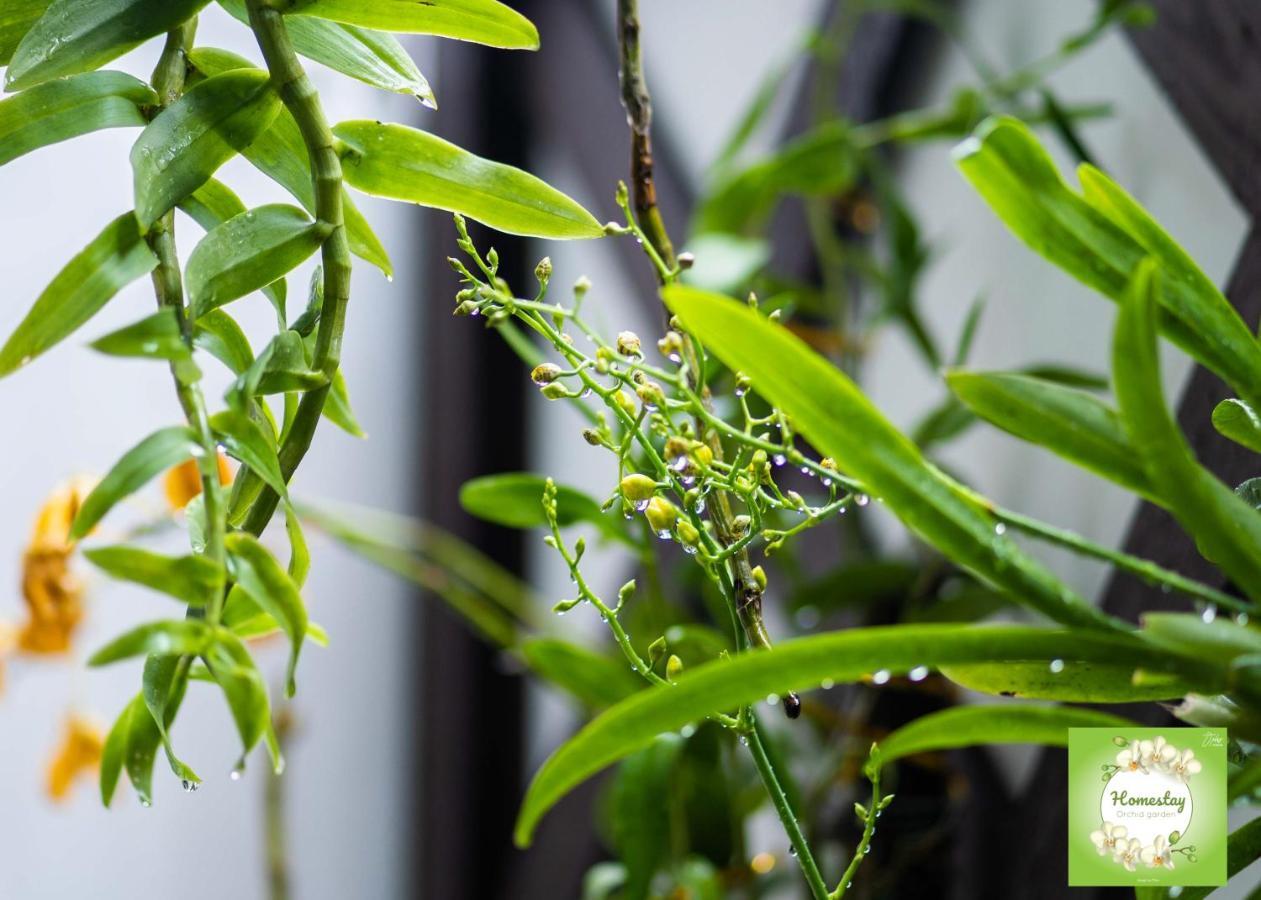 Can Tho Orchid Garden Homestay Экстерьер фото